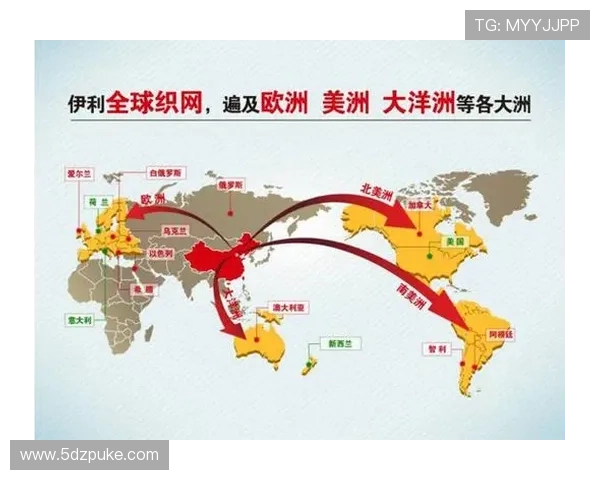 探索qy国际官：全球化背景下的外交新模式