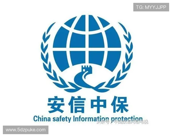 安信娱P专用注册通道安全性分析与保障措施